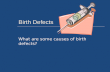 Birth Defects What are some causes of birth defects?
