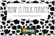 How is Milk Made? The Processing and Packaging of Milk