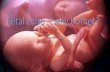 Fetal echo – why bother? - Home - Pediatric and Fetal ...· Fetal echo –why bother? ... congenital
