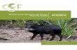 Julio 2017 - Conservation Strategy Fund .Julio 2017 Análisis Costo-Beneficio del Parque Nacional
