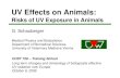 UV Effects on Animals - .G. Schauberger | Medical Physics & Biostatistics UV Effects on Animals: