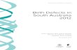 Birth Defects in South Australia ... Birth Defects in South Australia 2012 page 7 Executive Summary
