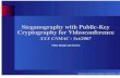Steganography with Public-Key Cryptography for borges/doc/Steganography with Public-Key...Steganography with Public-Key Cryptography for Videoconference XXX CNMAC - Set/2007 Fbio Borges