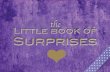 Little Book of Surprises