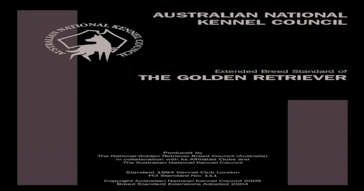 Golden Retriever Extended Breed Standard - [PDF