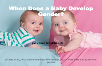 When Does a Baby Develop  Gender?