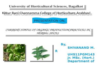 Organic Farming in Herbal spices by Shivanand M.R