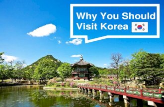Why You Should Visit Korea!