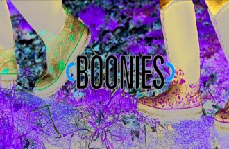 Boonies Catalogue 2014 web