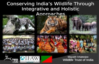 India-Wildlife and People