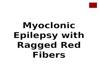 Myoclonic Epilepsy with Ragged Red Fibers (MERRF)