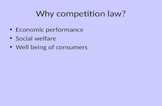Why competition law? Economic performance Social welfare Well being of consumers