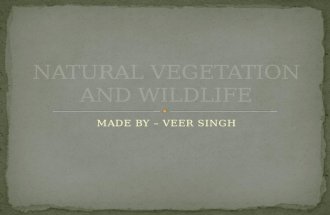 Natural vegetation and wildlife